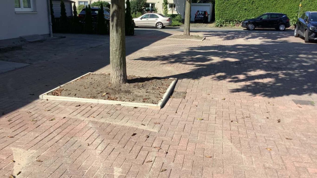 Gepflasterte Straße und Baum in städtischer Umgebung Baum auf gepflasterter Straße mit Holzrahmen und Autos im Hintergrund.