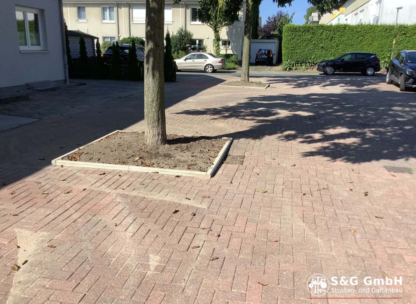 Baum auf gepflasterter Straße mit Holzrahmen und Autos im Hintergrund.