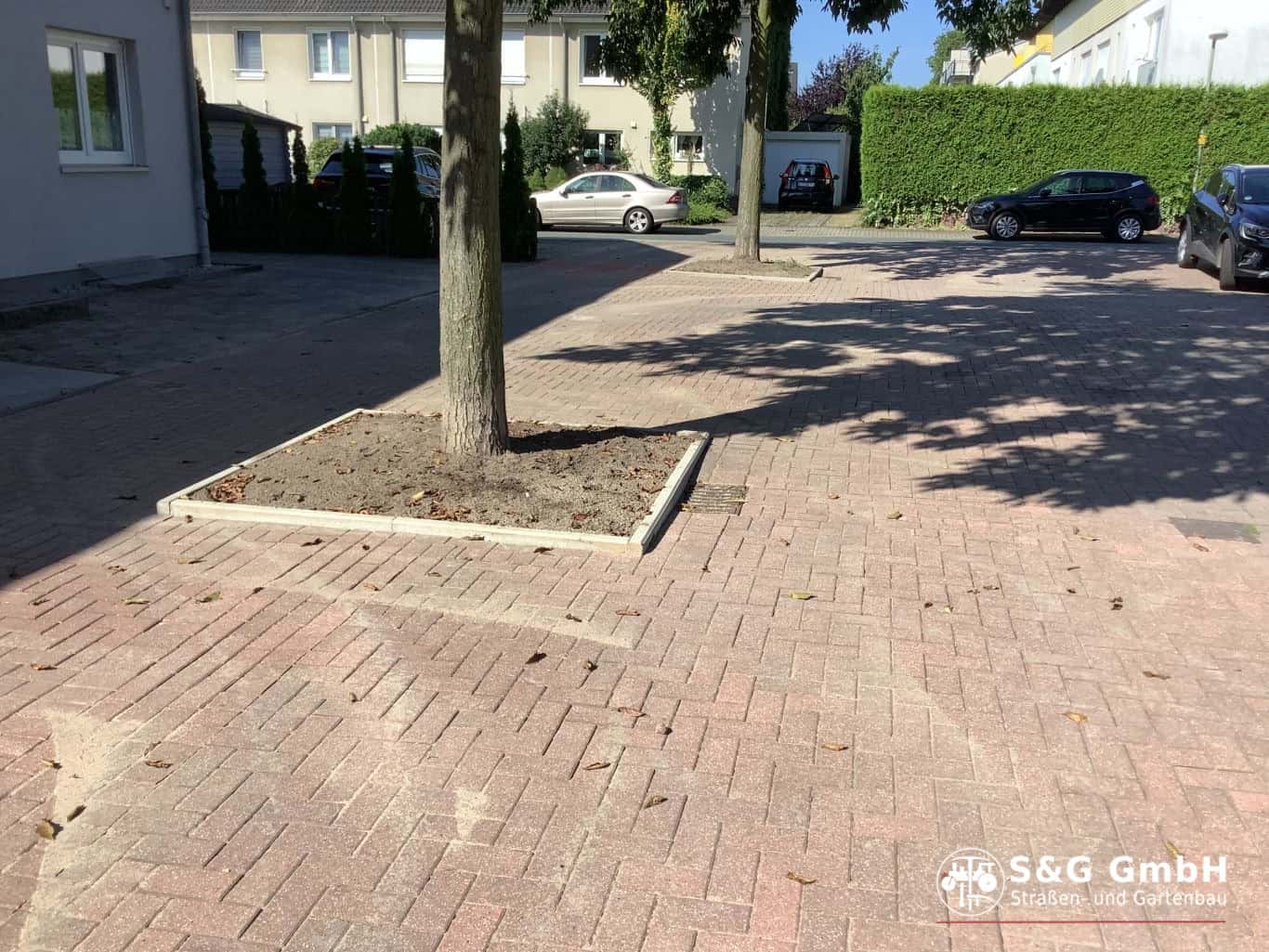 Baum auf gepflasterter Straße mit Holzrahmen und Autos im Hintergrund.